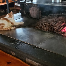 finnland rundreise 2025_71